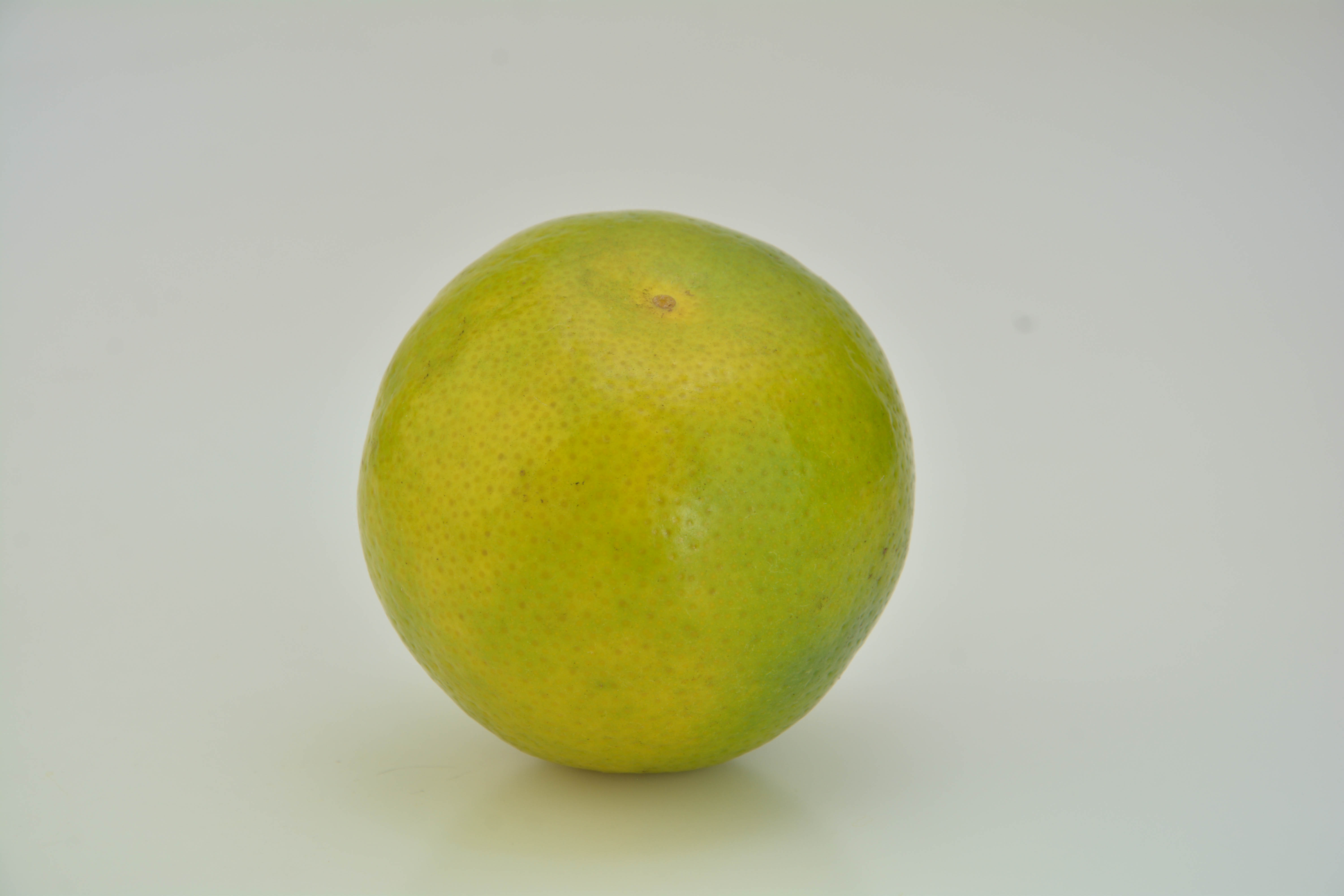 Dsc - Catálogo de frutas